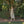 Load image into Gallery viewer, Gillian Stevens - Hazel Dress Chocolate Stripe
