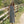 Load image into Gallery viewer, Gillian Stevens - Bella Dress