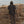 Load image into Gallery viewer, Gillian Stevens - Milo Jacket Noir