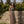 Load image into Gallery viewer, First Rite - Gathered Skirt