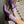Load image into Gallery viewer, Le Bon Shoppe - Girlfriend Socks
