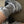 Load image into Gallery viewer, Le Bon Shoppe - Cloud Socks