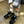Load image into Gallery viewer, Le Bon Shoppe - Girlfriend Socks
