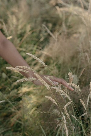 Greenbrook Journal: Fall '25 edition