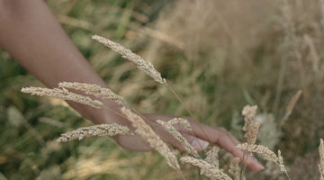 Greenbrook Journal: Fall '25 edition