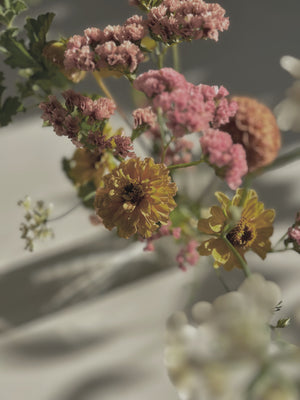 Greenbrook: Other Things Than Shop Things - Vol. 6