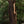 Load image into Gallery viewer, Gillian Stevens - Hazel Dress Chocolate

