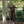Load image into Gallery viewer, Gillian Stevens - Hazel Dress Chocolate
