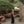 Load image into Gallery viewer, Gillian Stevens - Heidi Dress Noir
