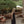 Load image into Gallery viewer, Gillian Stevens - Heidi Dress Noir
