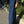 Le Bon Shoppe - Arc Pant Blue Denim