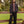 First Rite - Zip Up Coat Black