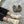 Load image into Gallery viewer, Le Bon Shoppe - Girlfriend Socks
