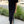 Le Bon Shoppe - Her Dress Black