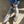 Load image into Gallery viewer, Le Bon Shoppe - Girlfriend Socks
