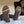 Le Bon Shoppe - Girlfriend Socks