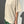 Le Bon Shoppe - Jayden Tee